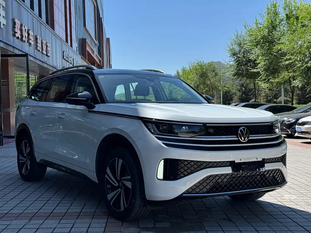 Volkswagen Tavendor — миниатюра 3