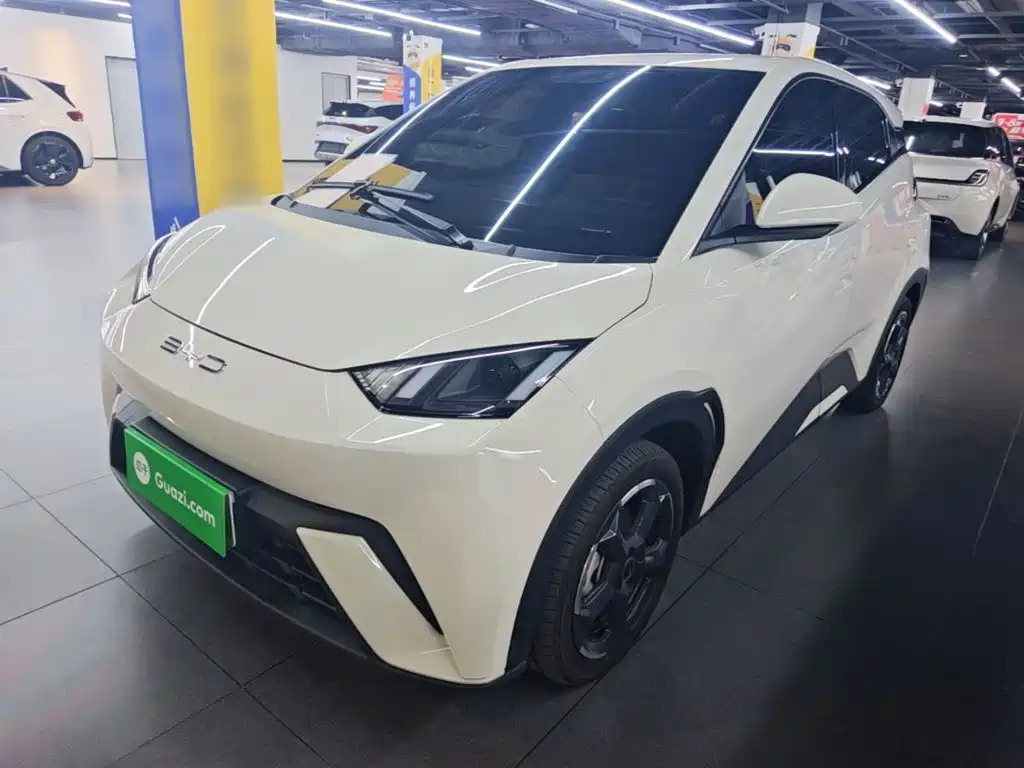 BYD Seagull