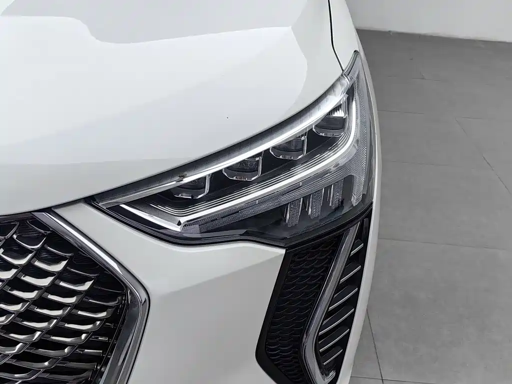 Haval Chulian — миниатюра 7