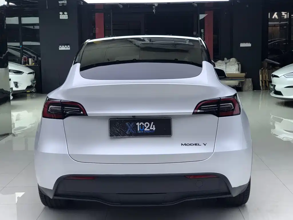 Tesla Model Y — миниатюра 6