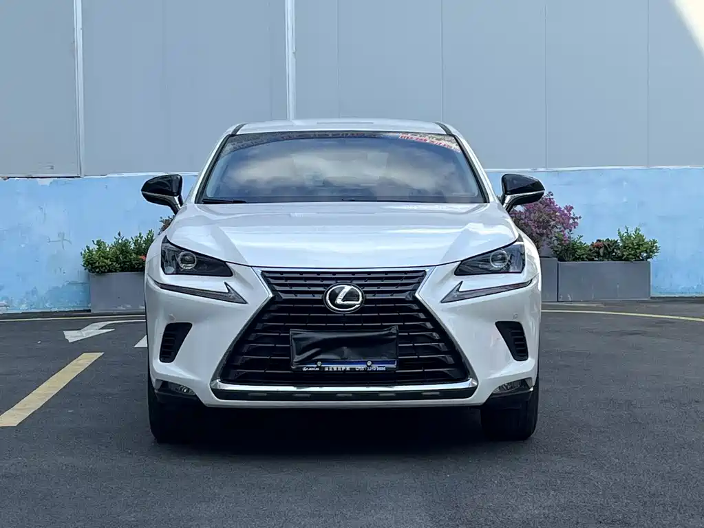 Lexus NX — миниатюра 2