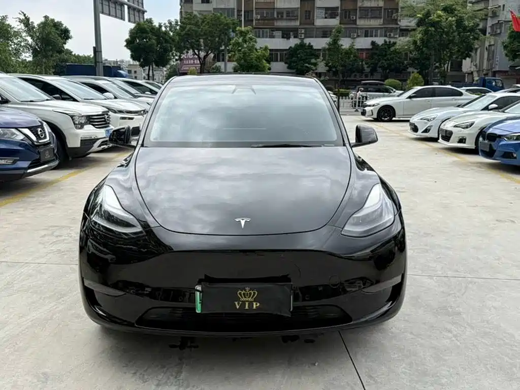 Tesla Model Y — миниатюра 2