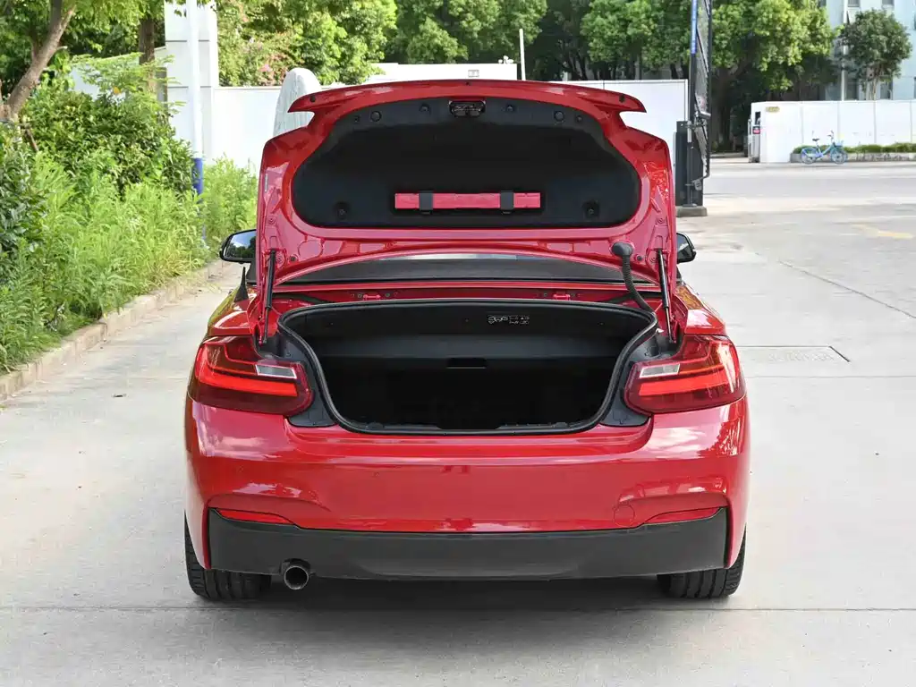 BMW 2 Series (Import) — миниатюра 11