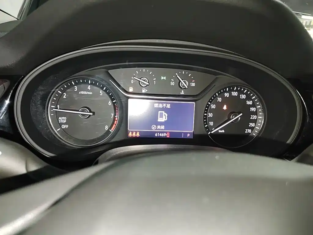 Buick Regal — миниатюра 12