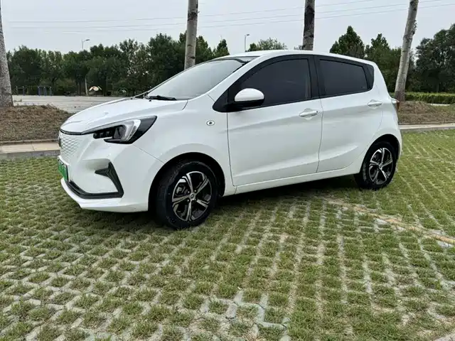 2020 Changan Benni EC/EV