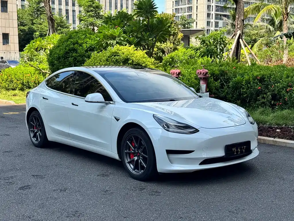 Tesla Model 3 — миниатюра 12