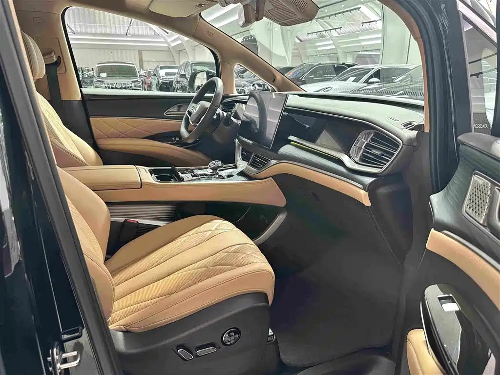 Denza Denza D9 — миниатюра 16