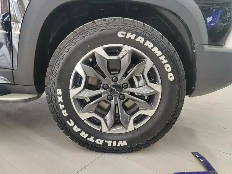 Haval Big Dog — миниатюра 6