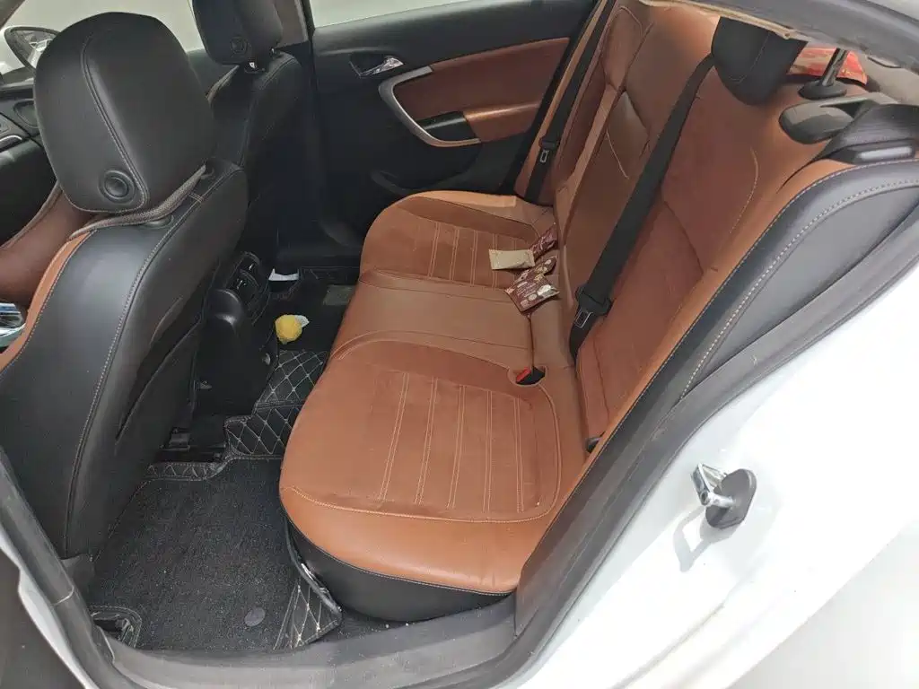 Buick Regal — миниатюра 15