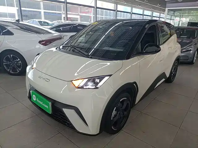 2023 BYD Seagull