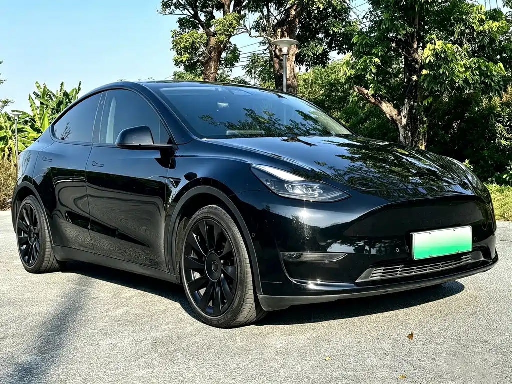 Tesla Model Y — миниатюра 3
