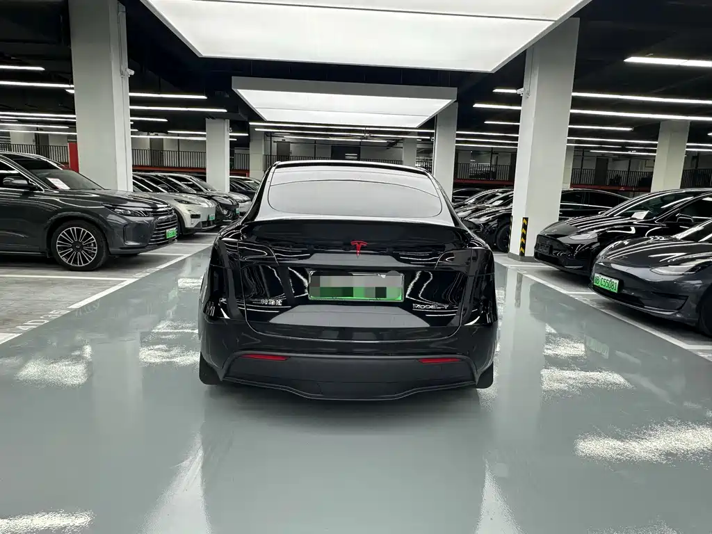 Tesla Model Y — миниатюра 14