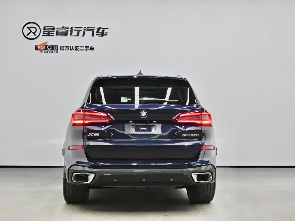 BMW X5 — миниатюра 4