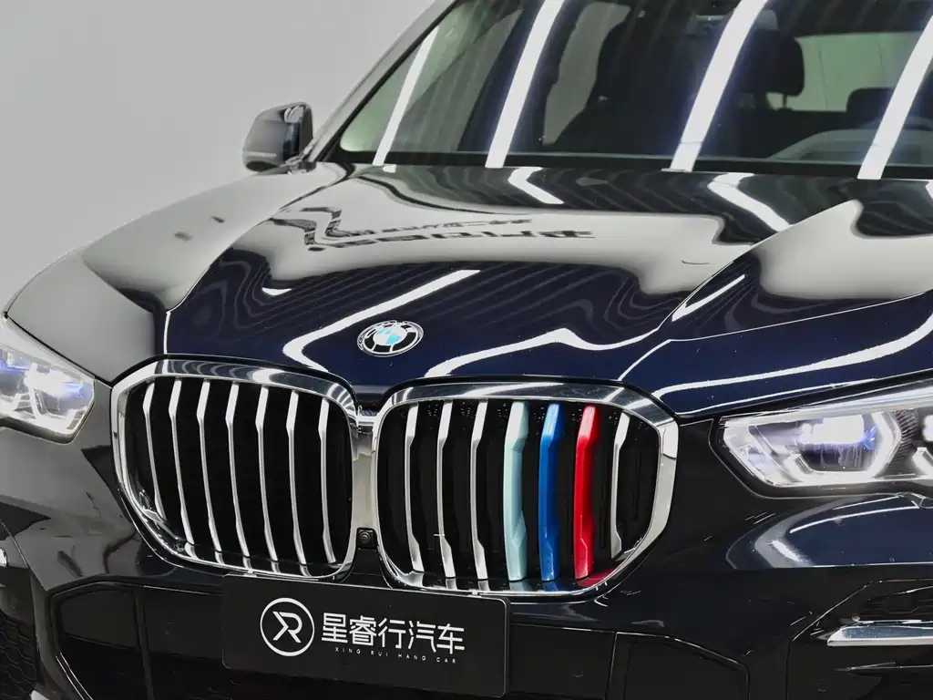 BMW X5 — миниатюра 30