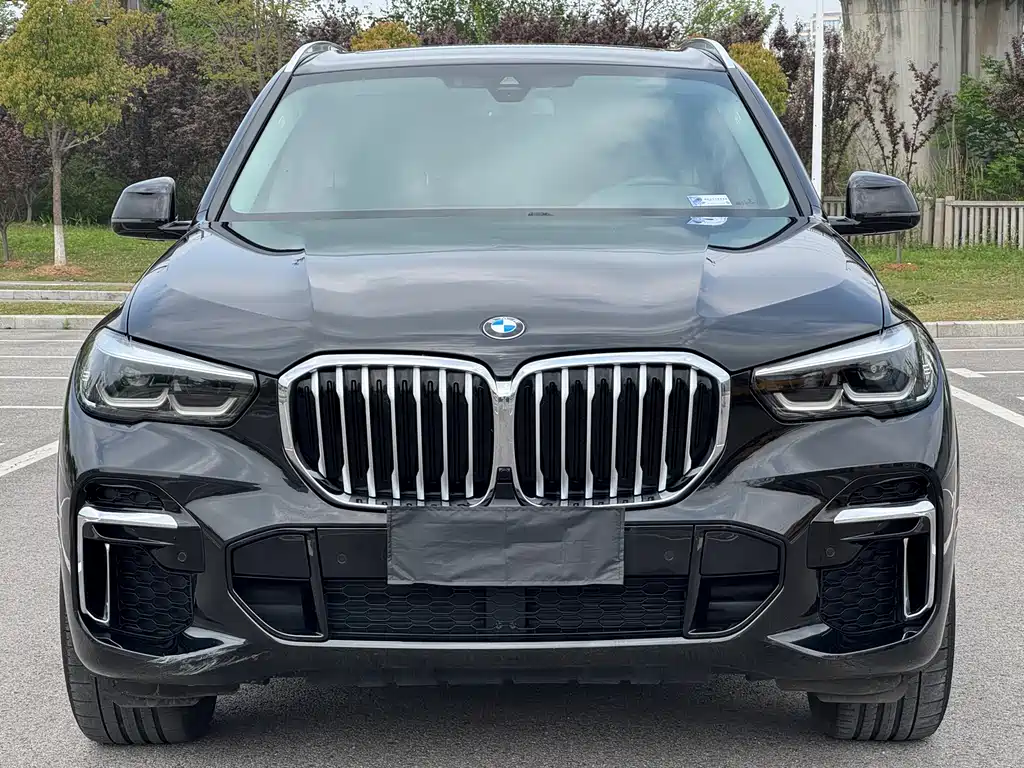 BMW X5 2022 xDrive 30Li M Sport