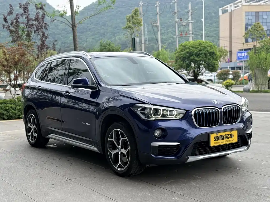 BMW X1 2018 xDrive25Le Luxury