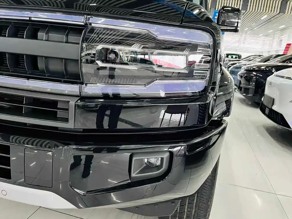 FANG CHENG BAO LEOPARD 5