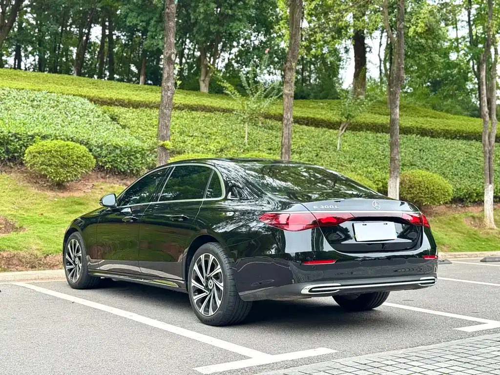 Mercedes-Benz E-Class E 2025 E 300 L Luxury