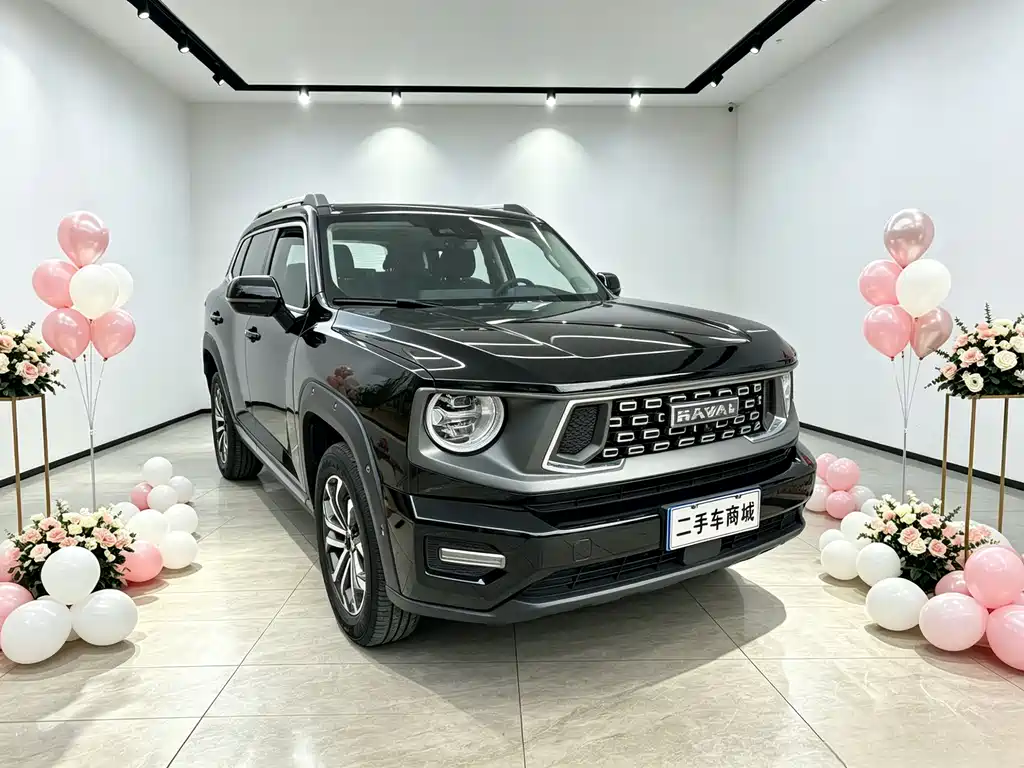 Haval 哈弗大狗 PLUS 2023
