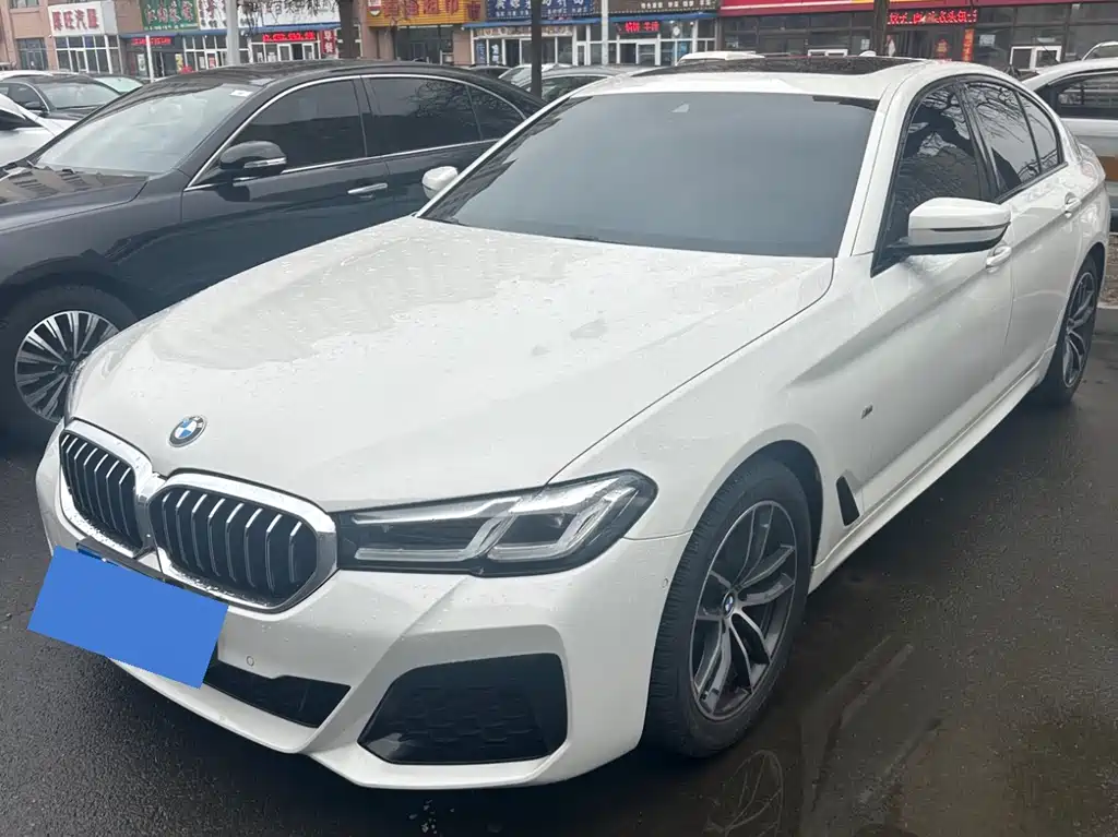 BMW 5 Series (Import) 2021
