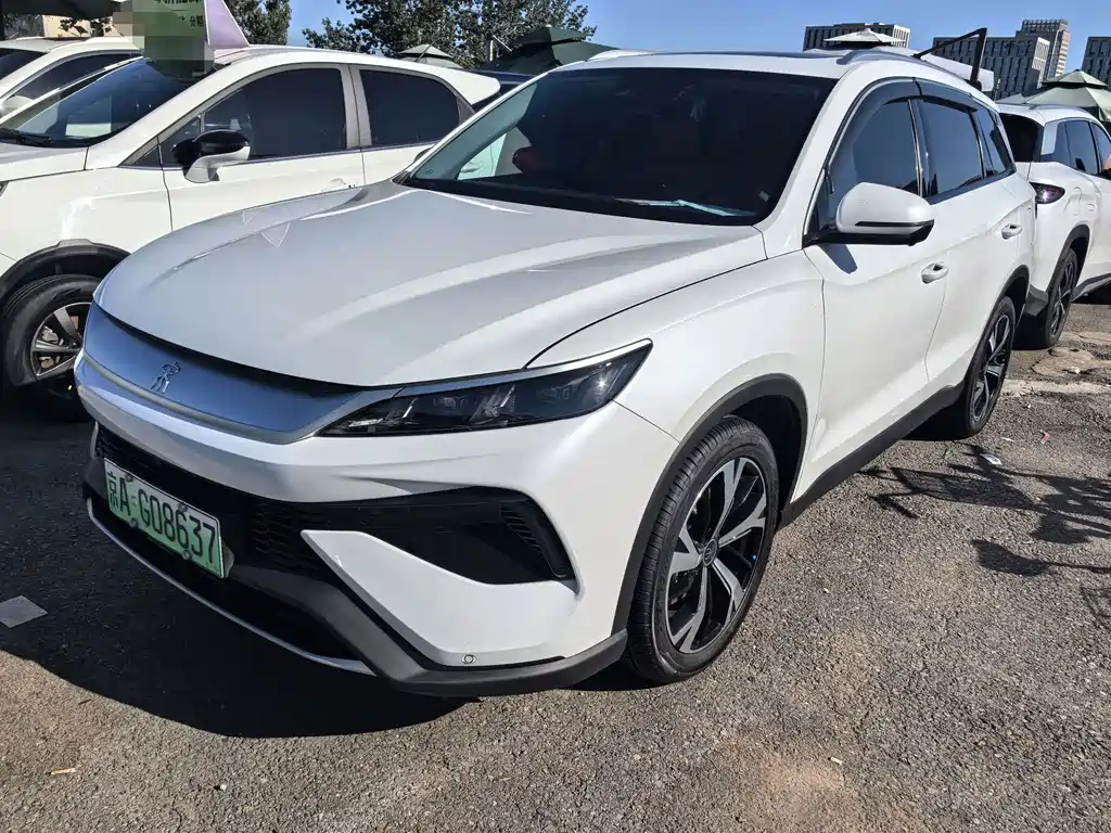 BYD Pro New Energy