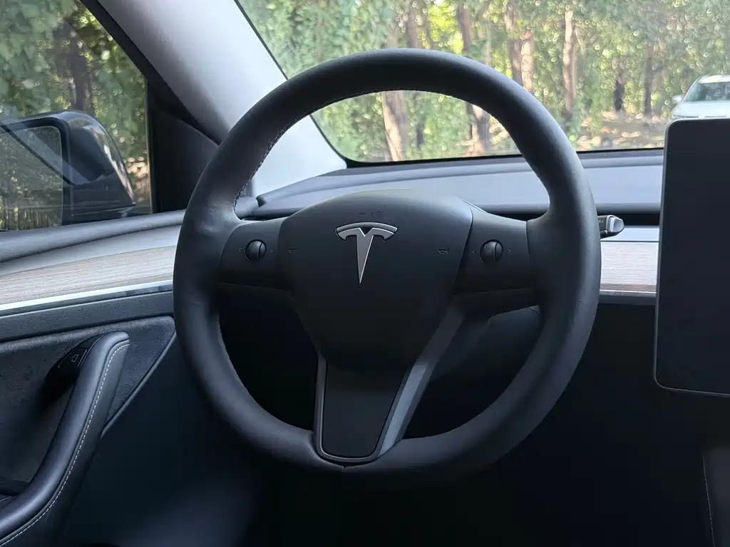 Tesla Model Y — миниатюра 8