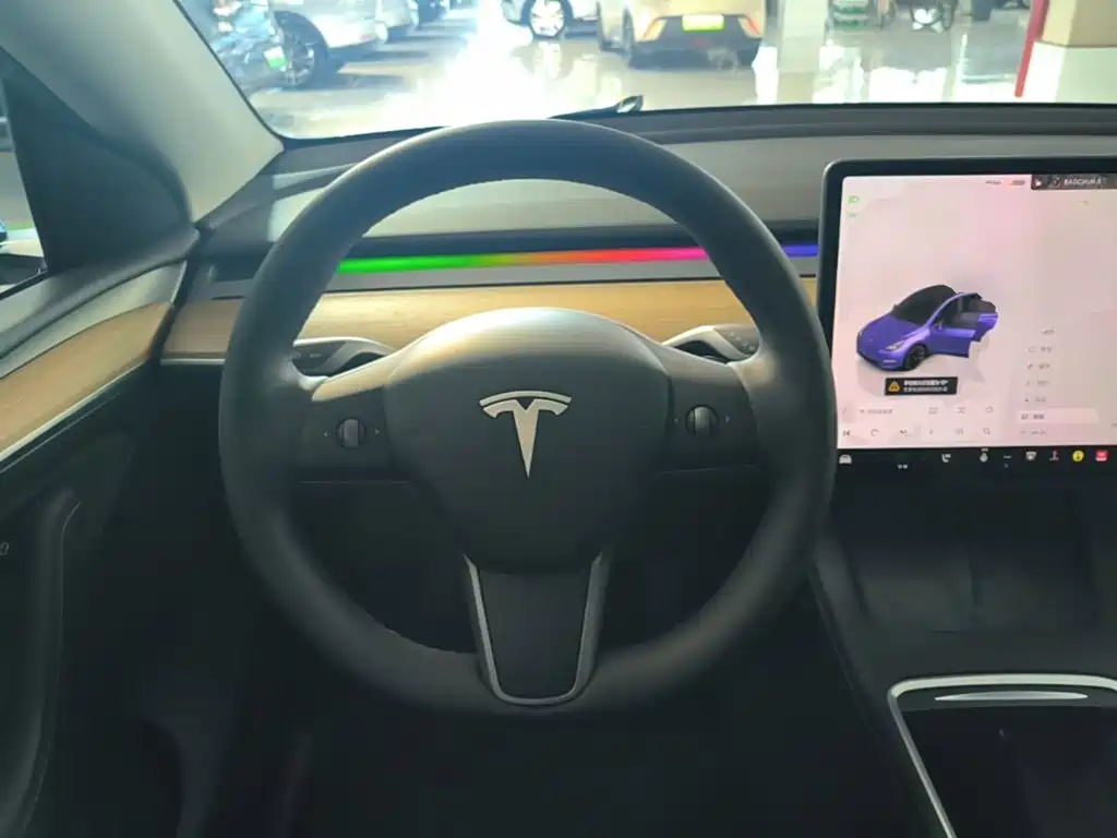 Tesla Model Y — миниатюра 11