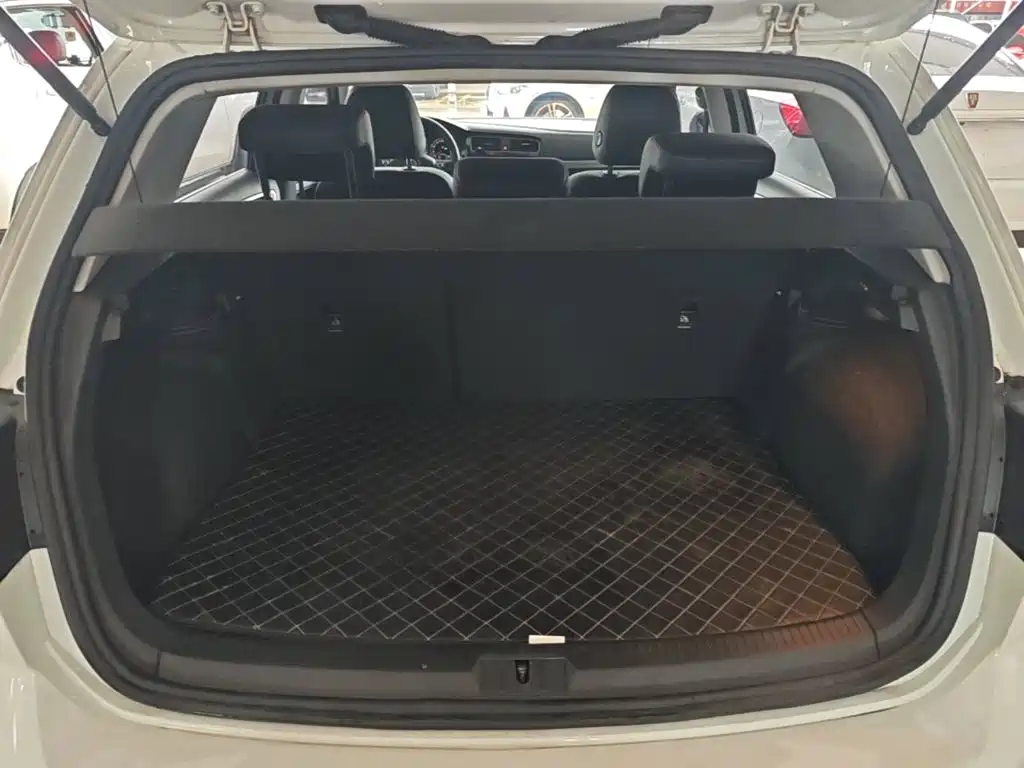 Volkswagen Golf — миниатюра 19