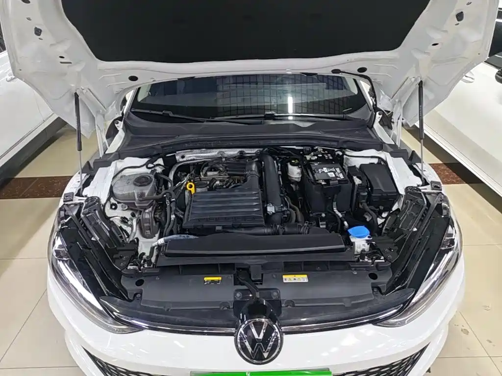 Volkswagen Lamando — миниатюра 20