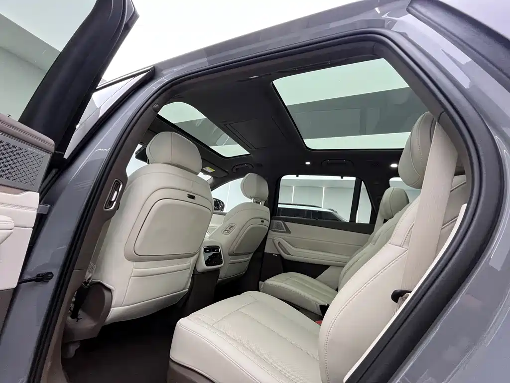 Denza Denza N8L — миниатюра 10
