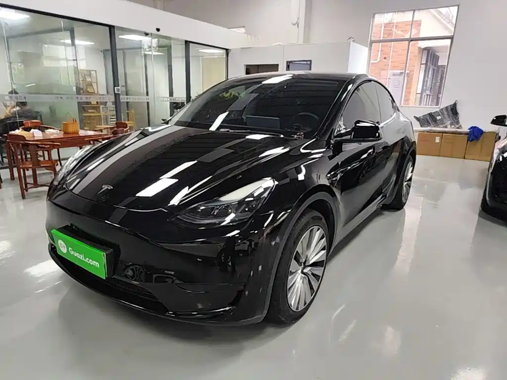 Tesla Model Y — миниатюра 2