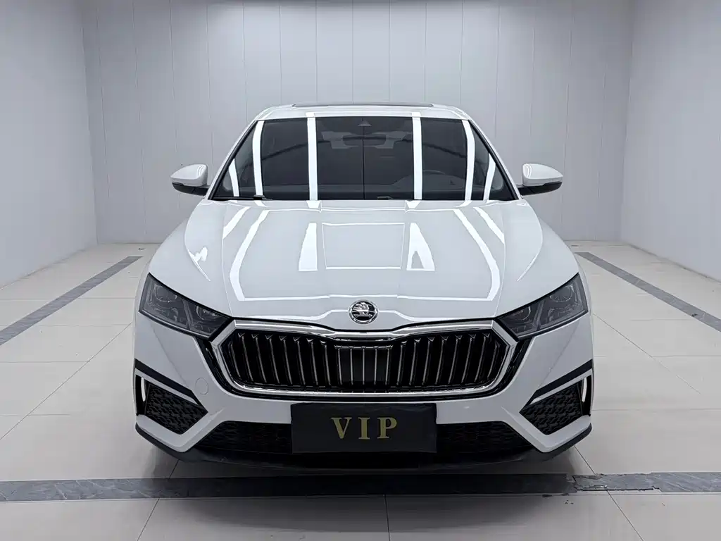 Skoda Octavia — миниатюра 2