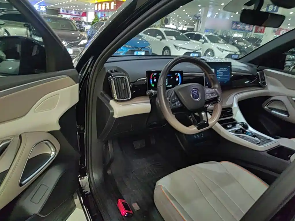 BYD Pro New Energy — миниатюра 16