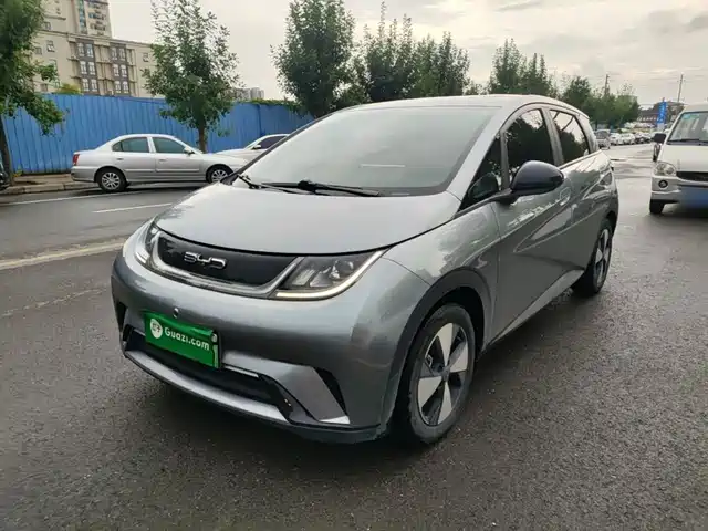 2023 BYD Dolphin