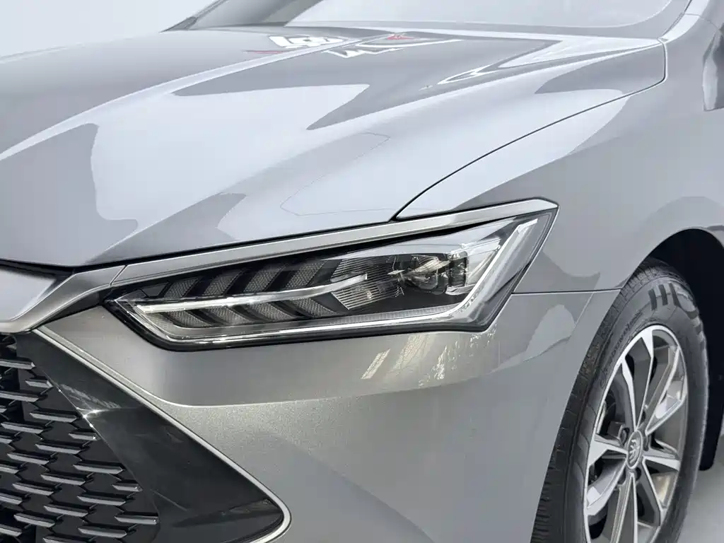 BYD Qin Plus PLUS 2024 DM-i 55KM Lead