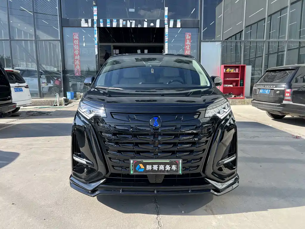 Denza Denza D9 — миниатюра 2