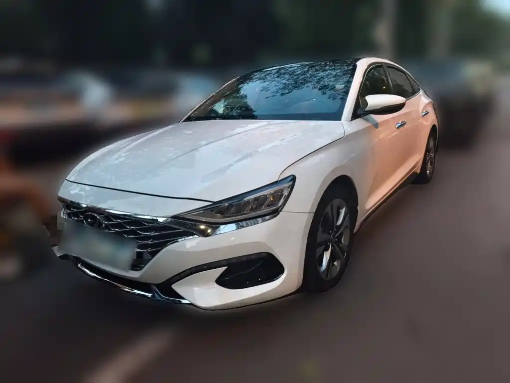Hyundai Fista — миниатюра 2