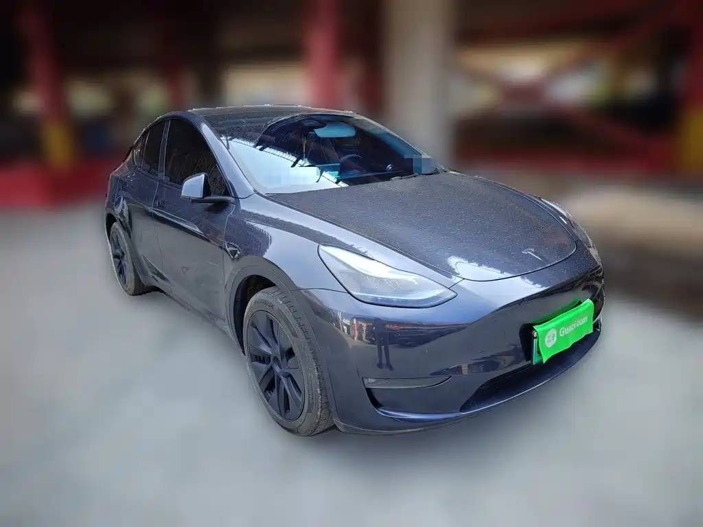 Tesla Model Y — миниатюра 23