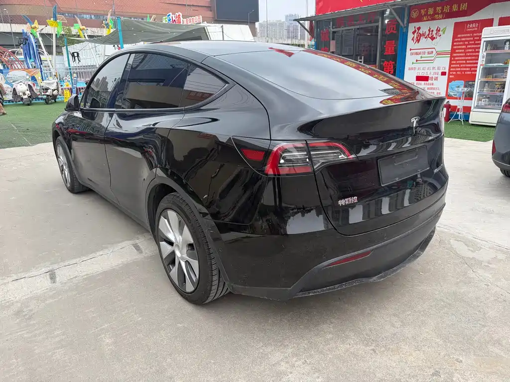 Tesla Model Y — миниатюра 10