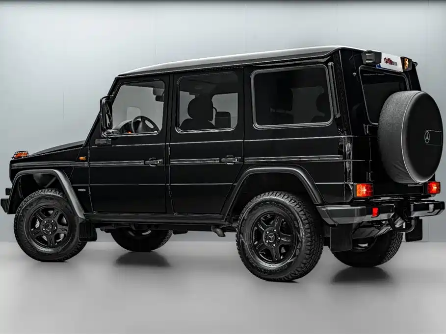 Mercedes-Benz G-Class G 2018 G 300 P