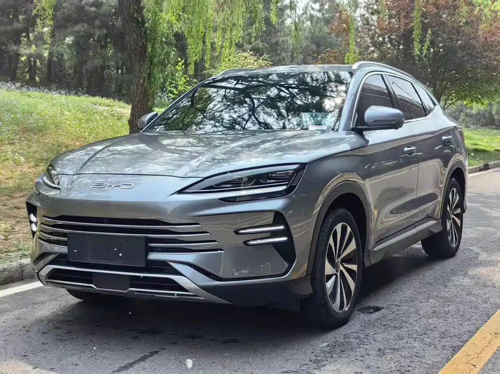 Byd PLUS New Energy 2024