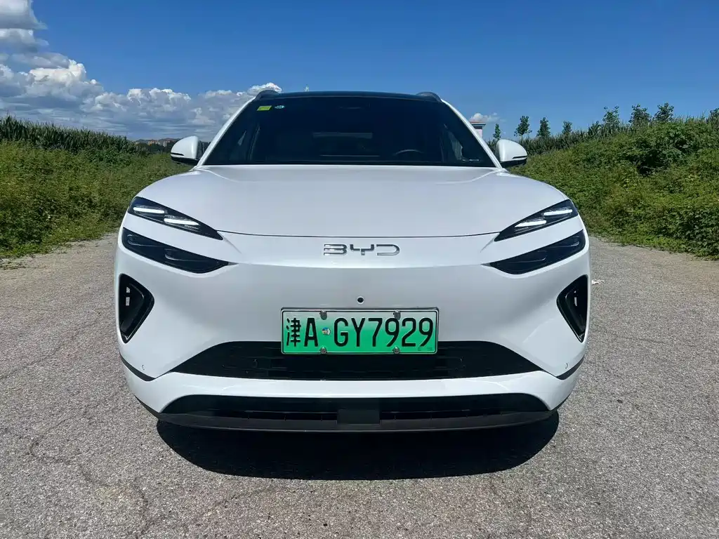 BYD Haisi 06 — миниатюра 2