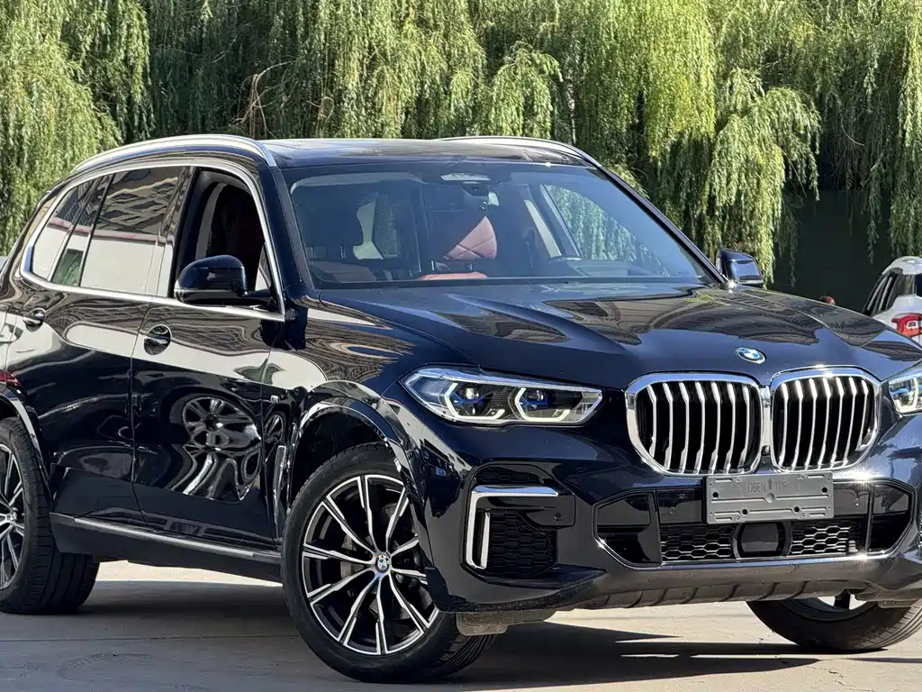 BMW X5 2023 xDrive 30Li Premium M Sport