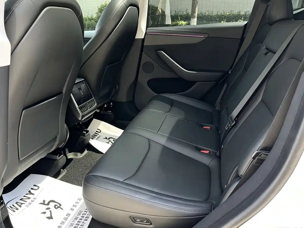 Tesla Model Y — миниатюра 9