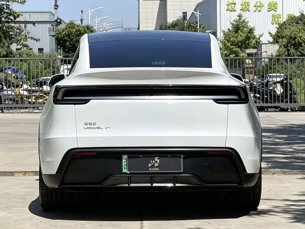 Tesla Model Y — миниатюра 5