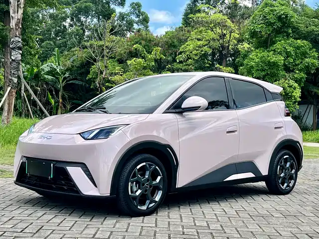 2025 BYD Seagull