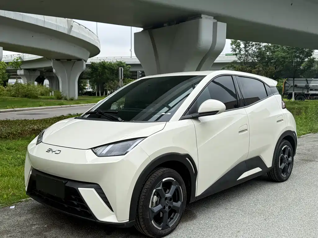 Byd Seagull 2024