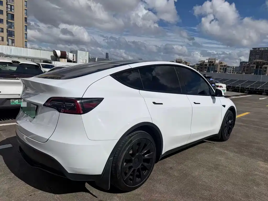 Tesla Model Y — миниатюра 7