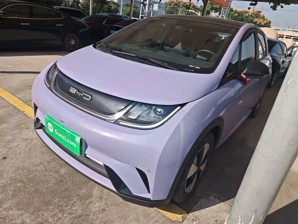 BYD Dolphin