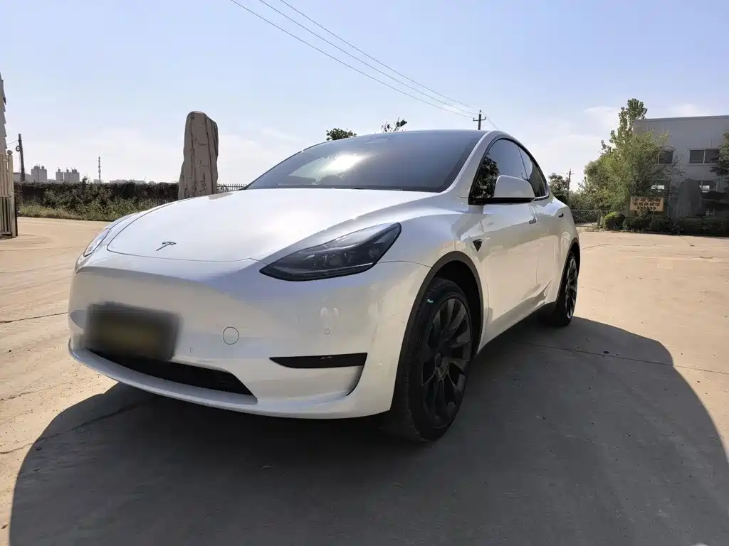 Tesla Model Y — миниатюра 2
